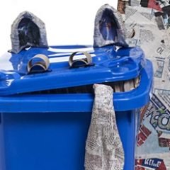 הצגות לבית ספר יסודי