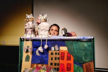 חתול הבית וחתול הרחוב